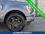 2022 F-150 Thumbnail 11
