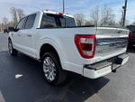 2023 F-150 Thumbnail 5