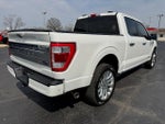 2023 F-150 Thumbnail 7