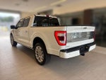 2023 F-150 Thumbnail 3