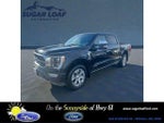 2023 F-150 Thumbnail 1