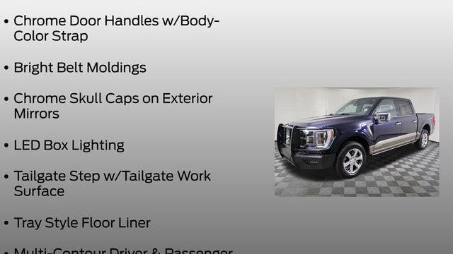 2023 Ford F-150 Platinum