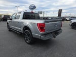 2023 F-150 Thumbnail 5