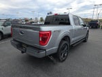 2023 F-150 Thumbnail 7