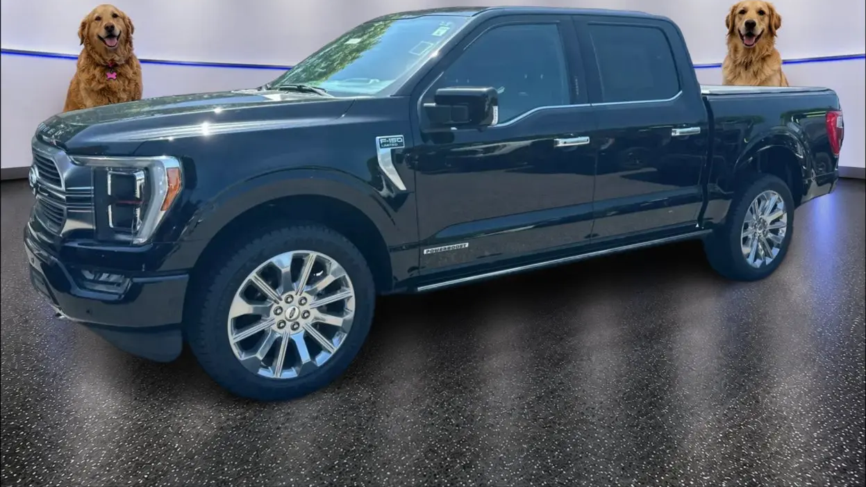 Preowned 2023 Ford F-150 Platinum for Sale
