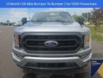 2023 F-150 Thumbnail 4