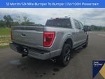 2023 F-150 Thumbnail 13