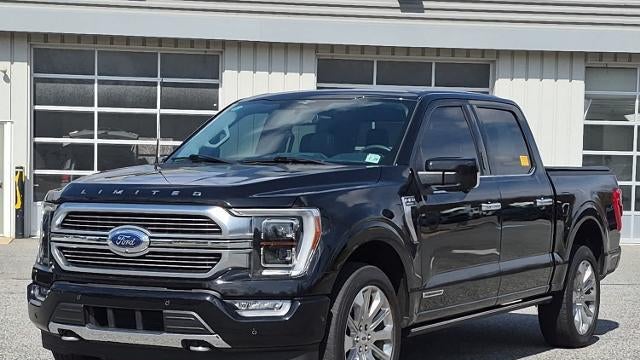 Preowned 2023 Ford F-150 Limited for Sale