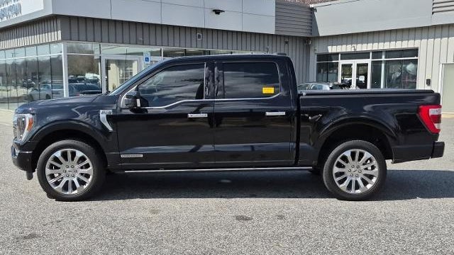 2023 Ford F-150 Limited