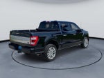 2023 F-150 Thumbnail 8