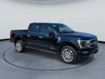 2023 F-150 Thumbnail 10