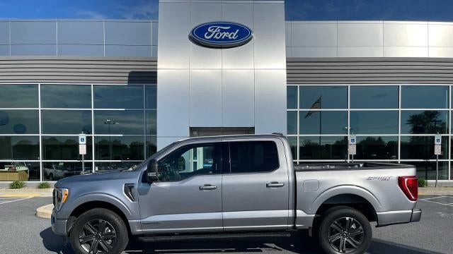 Preowned 2023 Ford F-150 XL for Sale