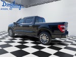 2023 F-150 Thumbnail 3