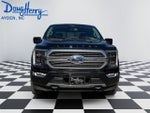 2023 F-150 Thumbnail 8