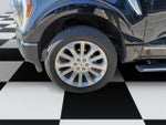 2023 F-150 Thumbnail 14