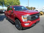 2023 F-150 Thumbnail 6