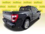 2023 F-150 Thumbnail 4
