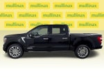 2023 F-150 Thumbnail 13