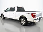 2023 F-150 Thumbnail 12