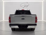 2023 F-150 Thumbnail 4