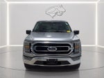 2023 F-150 Thumbnail 9