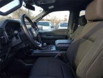 2023 F-150 Thumbnail 8