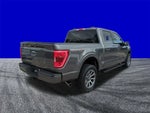 2023 F-150 Thumbnail 4
