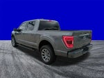 2023 F-150 Thumbnail 6
