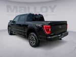 2023 F-150 Thumbnail 3