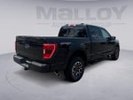 2023 F-150 Thumbnail 5