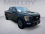 2023 F-150 Thumbnail 7