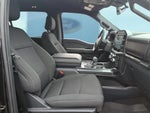 2023 F-150 Thumbnail 6