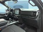 2023 F-150 Thumbnail 8