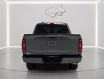 2023 F-150 Thumbnail 4