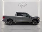 2023 F-150 Thumbnail 6