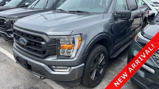 Preowned 2023 Ford F-150 XL for Sale