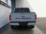 2023 F-150 Thumbnail 4