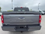 2023 F-150 Thumbnail 6