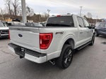 2023 F-150 Thumbnail 6