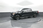 2023 F-150 Thumbnail 4