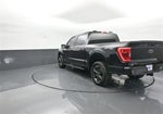 2023 F-150 Thumbnail 5