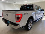 2023 F-150 Thumbnail 7