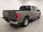 2023 F-150 Thumbnail 6