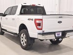 2021 F-150 Thumbnail 8