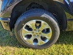 2021 F-150 Thumbnail 7