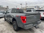 2021 F-150 Thumbnail 8