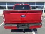 2021 F-150 Thumbnail 7