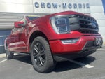 2021 F-150 Thumbnail 10