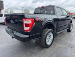 2021 F-150 Thumbnail 7
