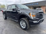 2021 F-150 Thumbnail 9